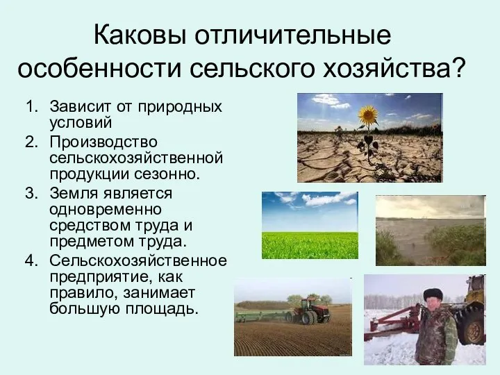 Каковы отличительные особенности сельского хозяйства? Зависит от природных условий Производство сельскохозяйственной