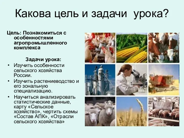 Какова цель и задачи урока? Цель: Познакомиться с особенностями агропромышленного комплекса