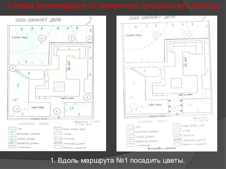 1. Вдоль маршрута №1 посадить цветы. 3.Наши рекомендации по изменению пришкольного участка