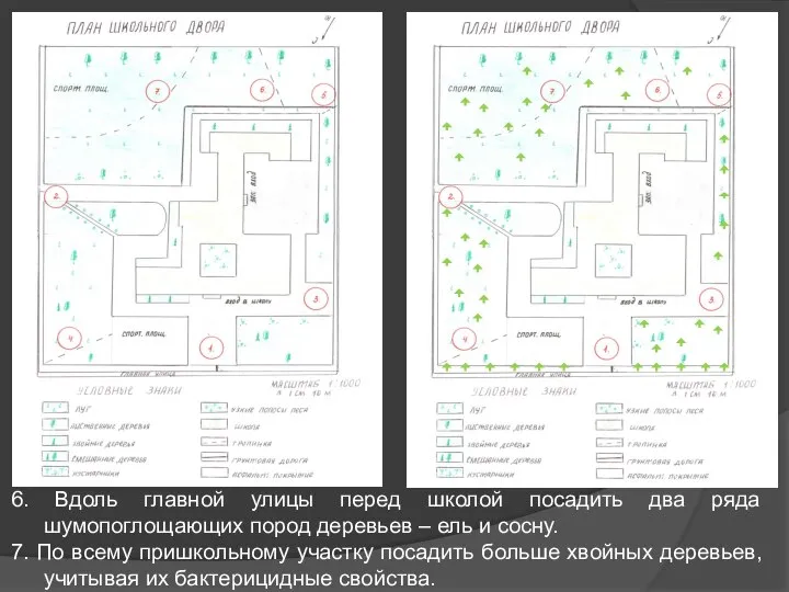 6. Вдоль главной улицы перед школой посадить два ряда шумопоглощающих пород