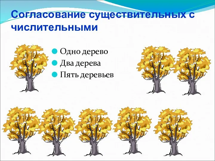 Согласование существительных с числительными Одно дерево Два дерева Пять деревьев