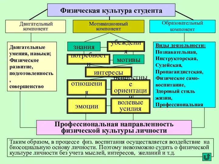 Физическая культура студента Двигательный компонент Мотивационный компонент Образовательный компонент Двигательные умения,