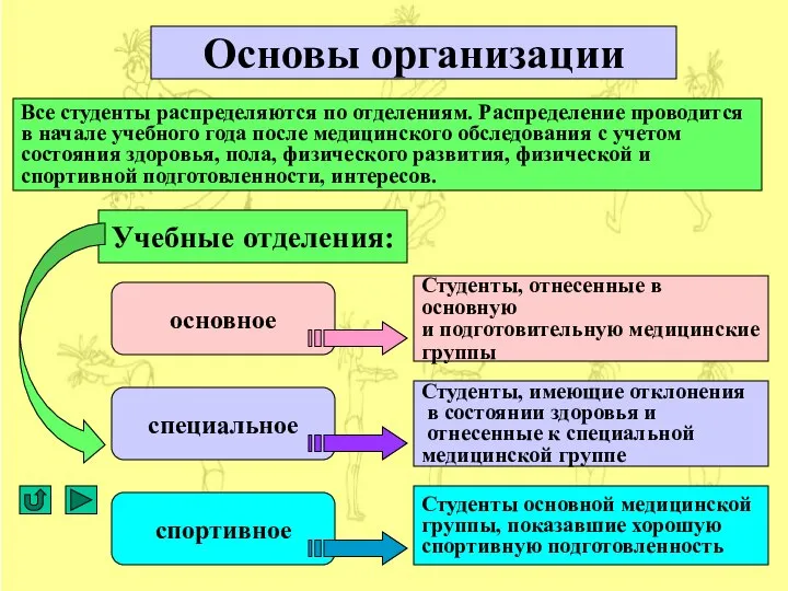 Учебные отделения: Все студенты распределяются по отделениям. Распределение проводится в начале