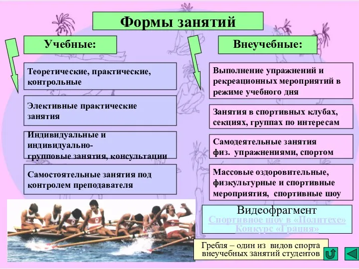 Формы занятий Учебные: Внеучебные: Теоретические, практические, контрольные Элективные практические занятия Индивидуальные