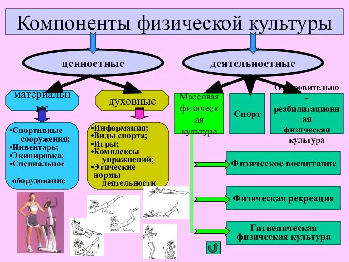 Компоненты физической культуры ценностные деятельностные материальные духовные Спортивные сооружения; Инвентарь; Экипировка;