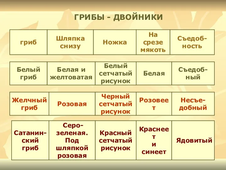 ГРИБЫ - ДВОЙНИКИ гриб Шляпка снизу Белый гриб Белая и желтоватая