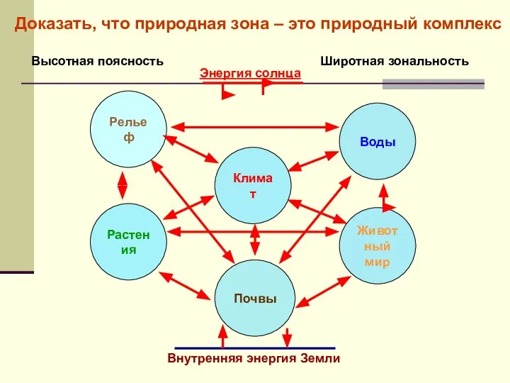 Доказать, что природная зона – это природный комплекс Рельеф Климат Воды