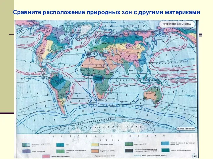 Сравните расположение природных зон с другими материками