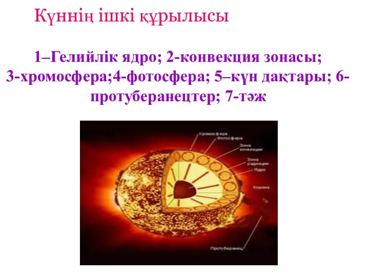 1–Гелийлік ядро; 2-конвекция зонасы; 3-хромосфера;4-фотосфера; 5–күн дақтары; 6-протуберанецтер; 7-тәж Күннің ішкі құрылысы