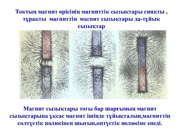 Токтың магнит өрісінің магниттік сызықтары сияқты , тұрақты магниттің магнит сызықтары