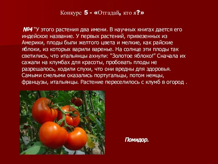 №4 “У этого растения два имени. В научных книгах дается его