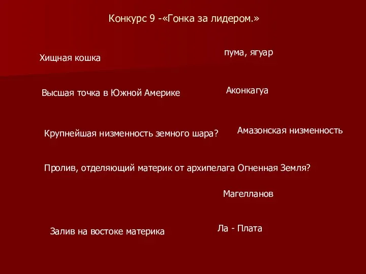 Конкурс 9 -«Гонка за лидером.» Хищная кошка пума, ягуар Высшая точка