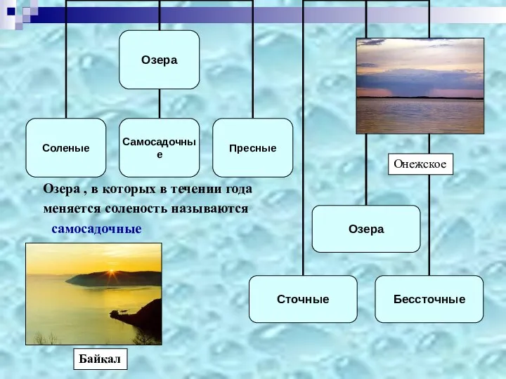 Байкал Онежское Озера , в которых в течении года меняется соленость называются самосадочные