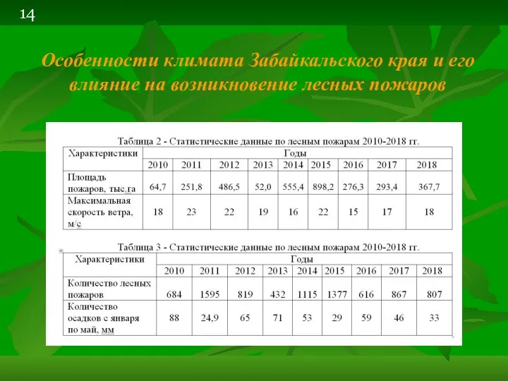 Особенности климата Забайкальского края и его влияние на возникновение лесных пожаров 14