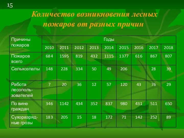 Количество возникновения лесных пожаров от разных причин 15