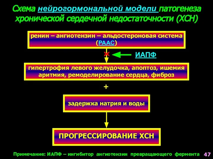 Схема нейрогормональной модели патогенеза хронической сердечной недостаточности (ХСН) ренин – ангиотензин