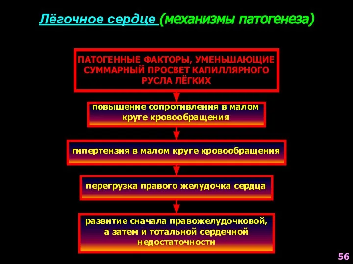 Лёгочное сердце (механизмы патогенеза) ПАТОГЕННЫЕ ФАКТОРЫ, УМЕНЬШАЮЩИЕ СУММАРНЫЙ ПРОСВЕТ КАПИЛЛЯРНОГО РУСЛА