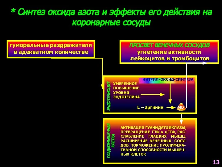 * Синтез оксида азота и эффекты его действия на коронарные сосуды