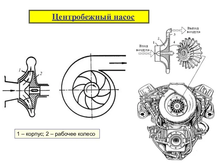 Центробежный насос 1 – корпус; 2 – рабочее колесо