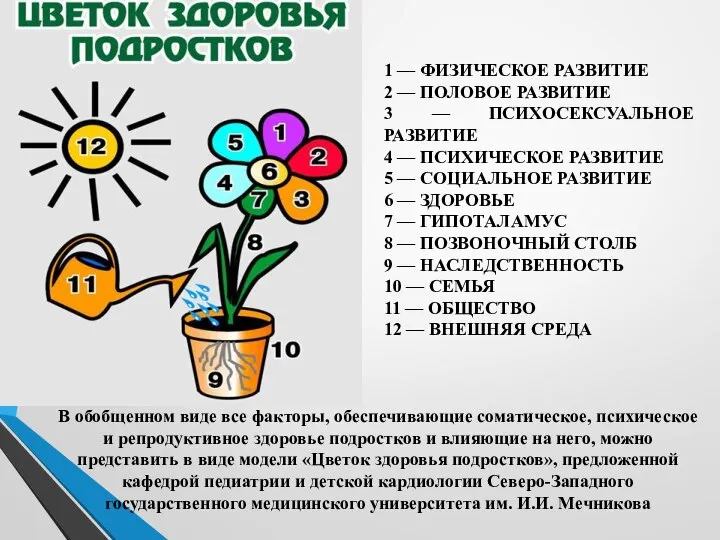 1 — ФИЗИЧЕСКОЕ РАЗВИТИЕ 2 — ПОЛОВОЕ РАЗВИТИЕ 3 — ПСИХОСЕКСУАЛЬНОЕ