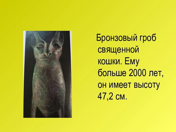 Бронзовый гроб священной кошки. Ему больше 2000 лет, он имеет высоту 47,2 см.
