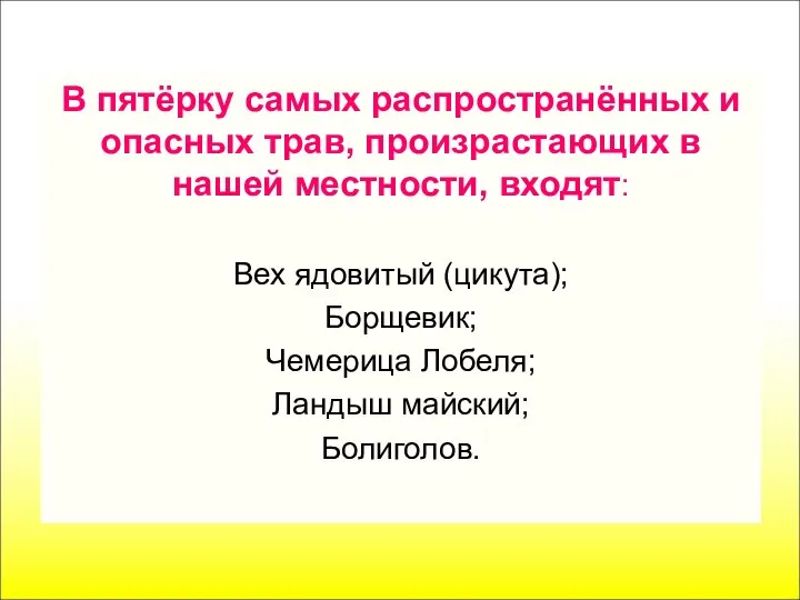 В пятёрку самых распространённых и опасных трав, произрастающих в нашей местности,