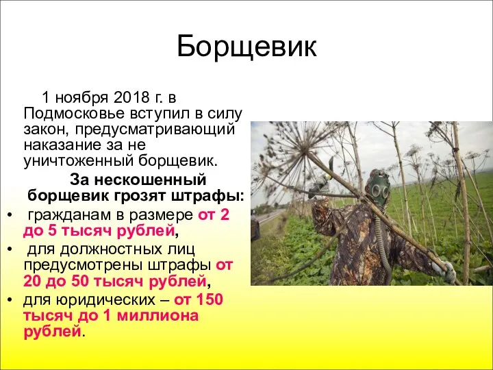 1 ноября 2018 г. в Подмосковье вступил в силу закон, предусматривающий