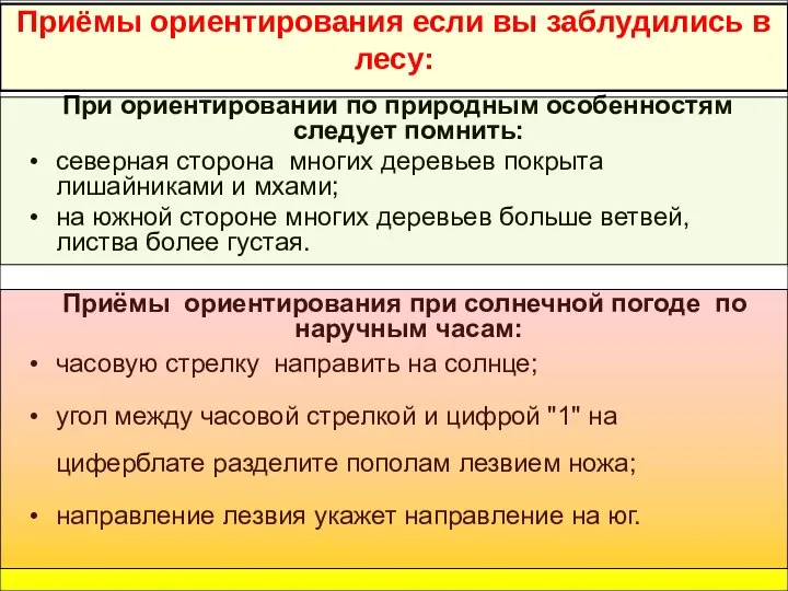 Приёмы ориентирования если вы заблудились в лесу: При ориентировании по природным