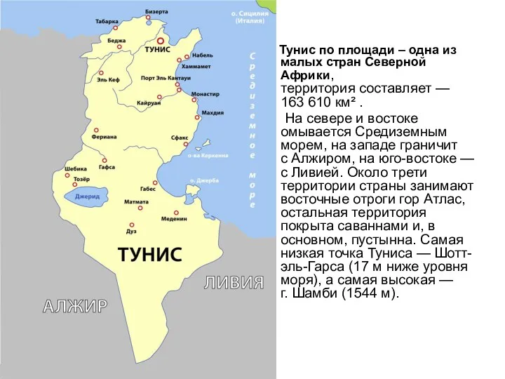 Тунис по площади – одна из малых стран Северной Африки, территория