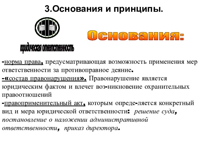 3.Основания и принципы. -норма права, предусматривающая возможность применения мер ответственности за