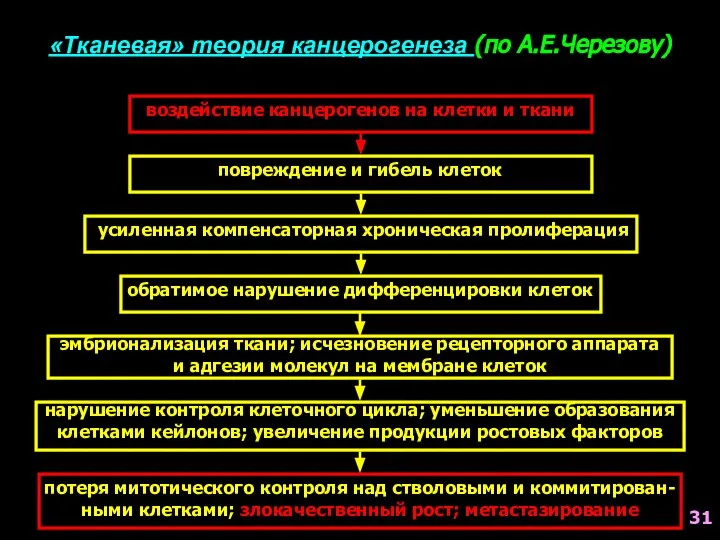 «Тканевая» теория канцерогенеза (по А.Е.Черезову) воздействие канцерогенов на клетки и ткани