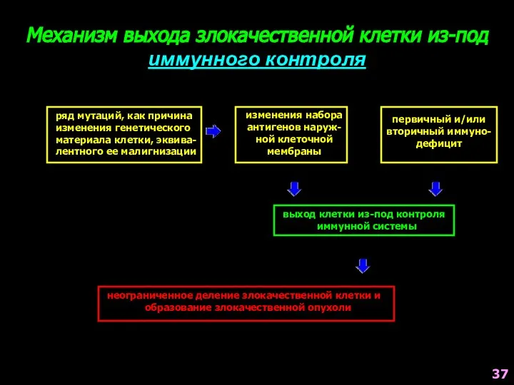 Механизм выхода злокачественной клетки из-под иммунного контроля ряд мутаций, как причина