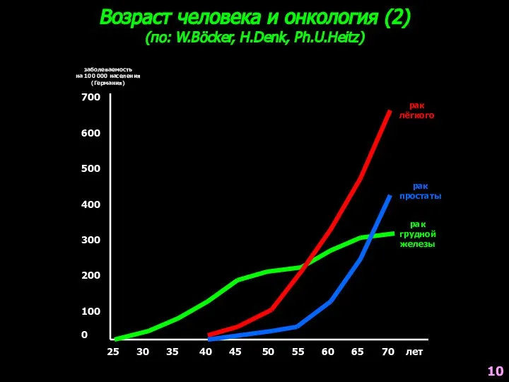 Возраст человека и онкология (2) (по: W.Böcker, H.Denk, Ph.U.Heitz) заболеваемость на