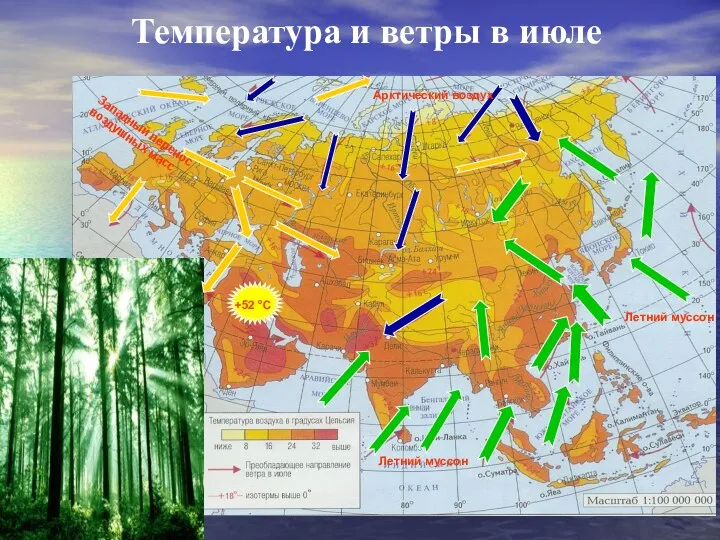 Температура и ветры в июле Западный перенос воздушных масс Летний муссон