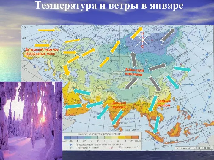 Температура и ветры в январе Азиатский максимум Западный перенос воздушных масс