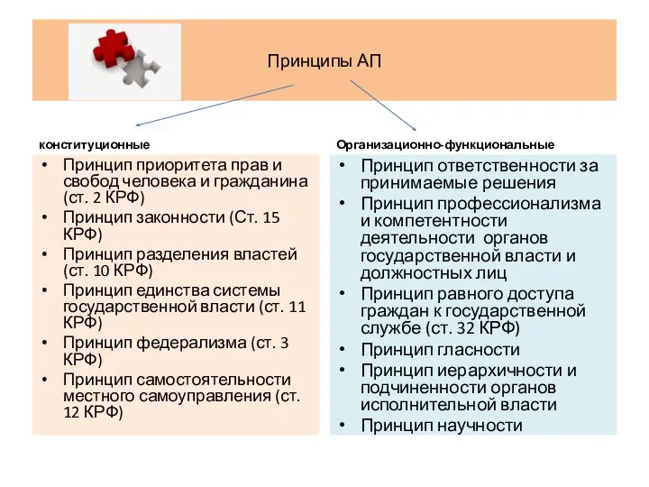 Принципы АП конституционные Принцип приоритета прав и свобод человека и гражданина