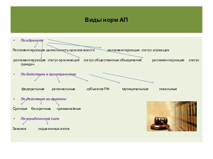 Виды норм АП По адресату Регламентирующие деятельность органов власти регламентирующие статус
