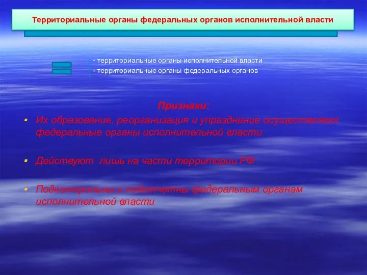 Территориальные органы федеральных органов исполнительной власти - территориальные органы исполнительной власти