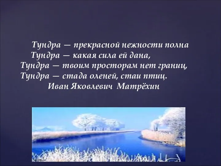 Тундра — прекрасной нежности полна Тундра — какая сила ей дана,