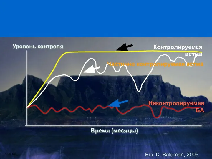 Уровень контроля Время (месяцы) Неконтролируемая БА Частично контролируемая астма A/06/154 Eric