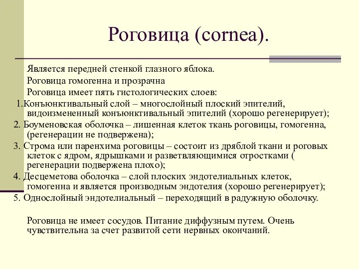 Роговица (cornea). Является передней стенкой глазного яблока. Роговица гомогенна и прозрачна