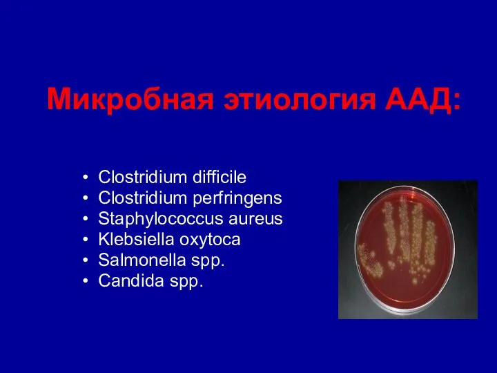 Микробная этиология ААД: Clostridium difficile Clostridium perfringens Staphylococcus aureus Klebsiella oxytoca Salmonella spp. Candida spp.