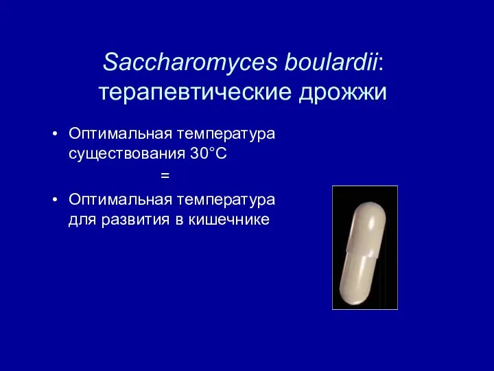 Saccharomyces boulardii: терапевтические дрожжи Оптимальная температура существования 30°C = Оптимальная температура для развития в кишечнике