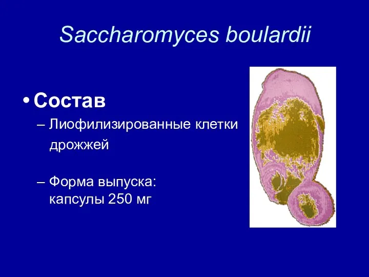 Saccharomyces boulardii Состав Лиофилизированные клетки дрожжей Форма выпуска: капсулы 250 мг