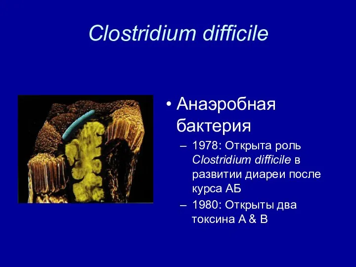 Clostridium difficile Анаэробная бактерия 1978: Открыта роль Clostridium difficile в развитии