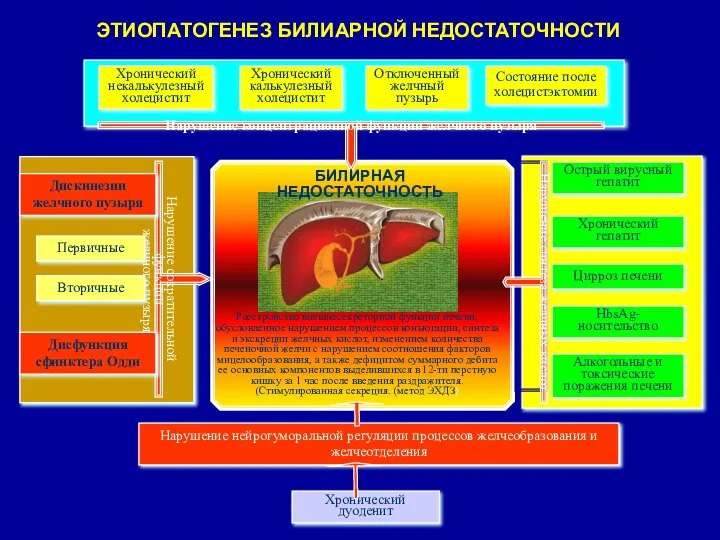 Нарушение сократительной функции желчного пузыря ЭТИОПАТОГЕНЕЗ БИЛИАРНОЙ НЕДОСТАТОЧНОСТИ Нарушение синтеза желчных
