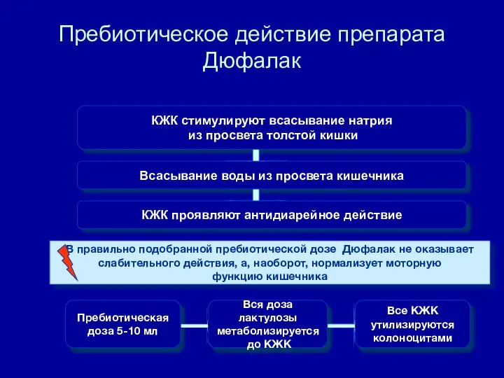 Пребиотическое действие препарата Дюфалак КЖК стимулируют всасывание натрия из просвета толстой