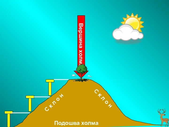 Подошва холма С к л о н С к л о н Вершина холма