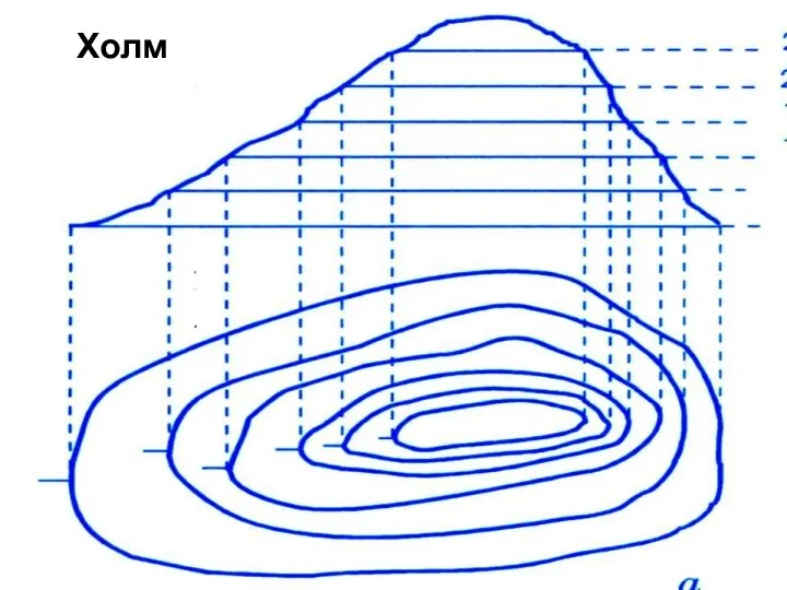 Горизонтали (изогипсы) Холм