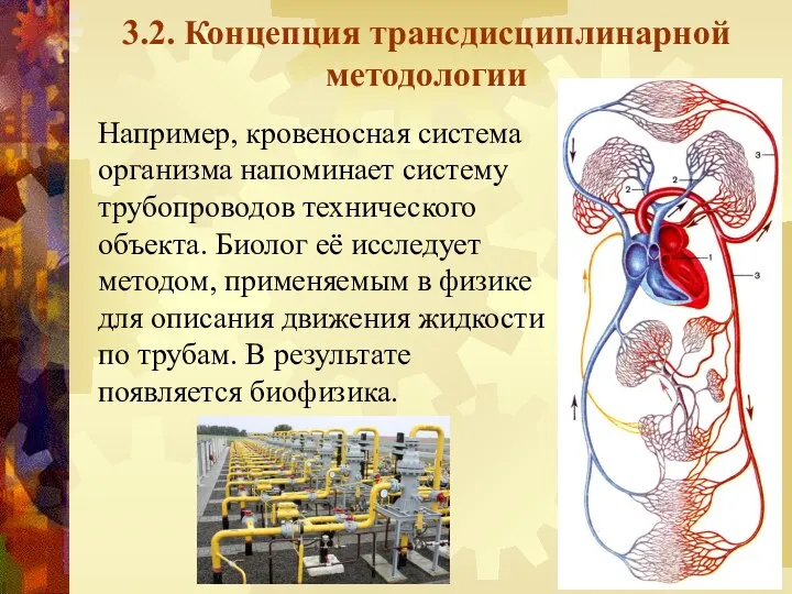 3.2. Концепция трансдисциплинарной методологии Например, кровеносная система организма напоминает систему трубопроводов